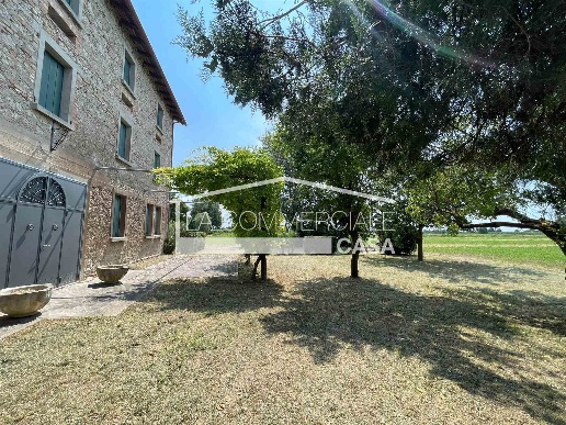 immagine annuncio 3 di 7
