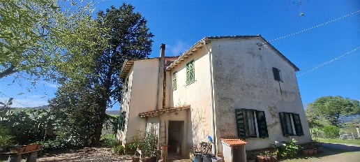 Foto Rustico a Scansano di 235 m² con 7 locali in vendita