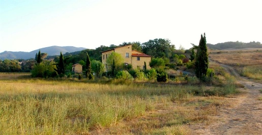 Foto Rustico in Via di Faltona, Bibbona di 340 m² con 10 locali in vendita