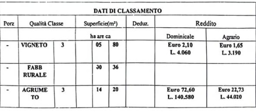 immagine annuncio 10 di 11
