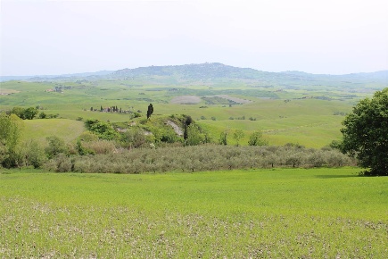 Foto Rustico a Montecatini Val di Cecina di 780 m² con 20 locali in vendita