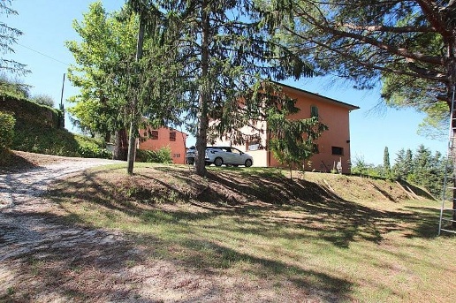immagine annuncio 7 di 14