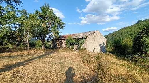 immagine annuncio 6 di 9