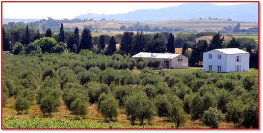 Foto Rustico in strad del padule 200, Castiglione della Pescaia di 480 m²