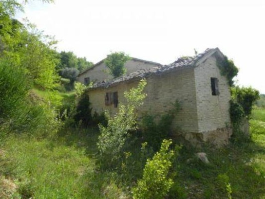 immagine annuncio 1 di 9
