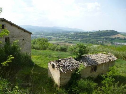 immagine annuncio 4 di 9