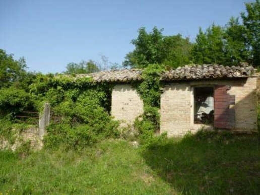 immagine annuncio 7 di 9