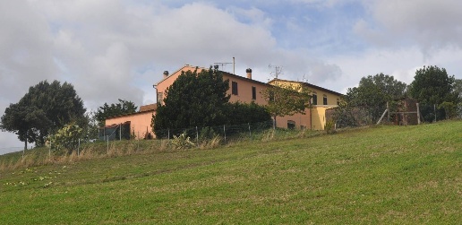 Foto Rustico in Via dei Gelsinelli, Santa Luce di 200 m² con 12 locali