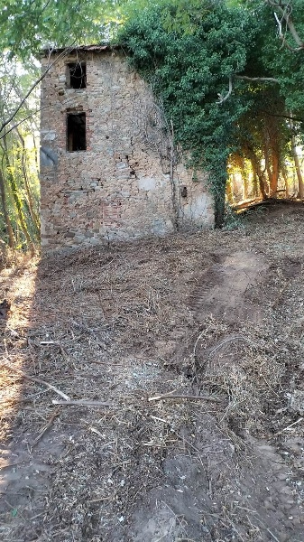 immagine annuncio 2 di 7