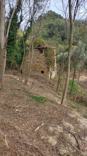 immagine annuncio 3 di 7