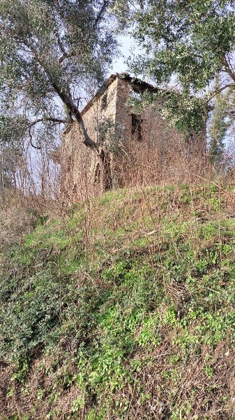 immagine annuncio 4 di 7