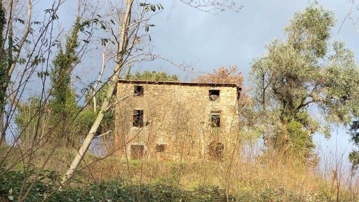immagine annuncio 5 di 7
