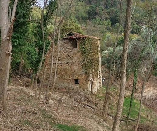 immagine annuncio 6 di 7