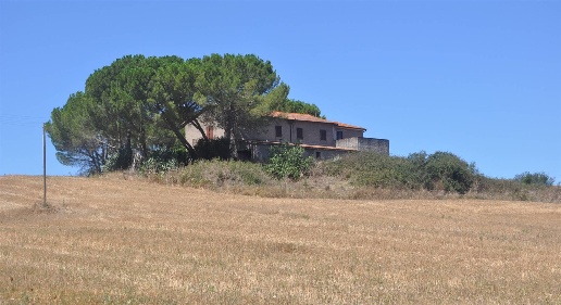 Foto Rustico in Via Serra di Faltona, Bibbona di 500 m² con 13 locali