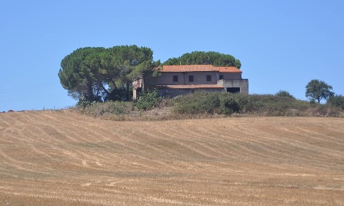 Foto Rustico in Via Serra di Faltona, Bibbona di 500 m² con 13 locali