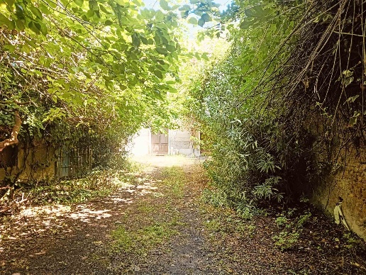 immagine annuncio 3 di 9