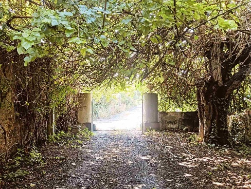 immagine annuncio 4 di 9