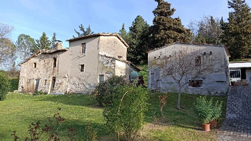 immagine annuncio 1 di 6