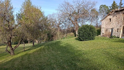 immagine annuncio 3 di 6