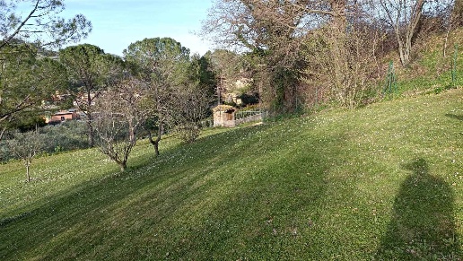 immagine annuncio 4 di 6