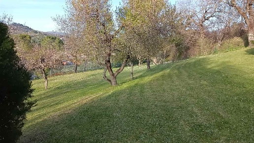 immagine annuncio 5 di 6