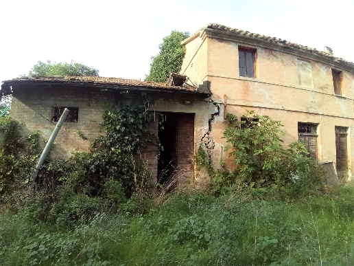 immagine annuncio 4 di 6