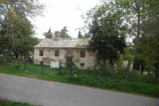 immagine annuncio 3 di 12