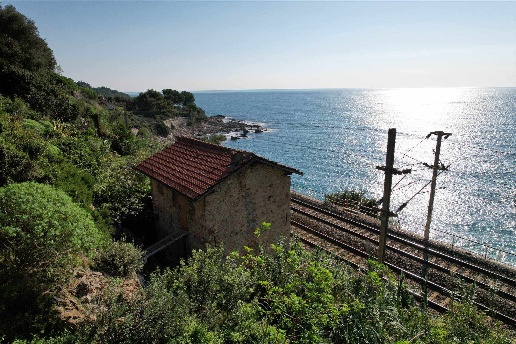 immagine annuncio 4 di 8