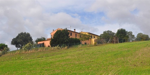 Foto Rustico in Via dei Gelsinelli, Santa Luce di 400 m² con 16 locali