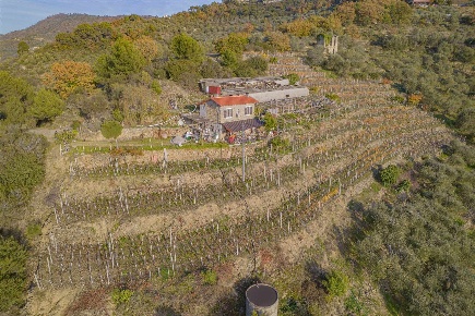 Foto Rustico a San Biagio della Cima di 60 m² con 3 locali in vendita