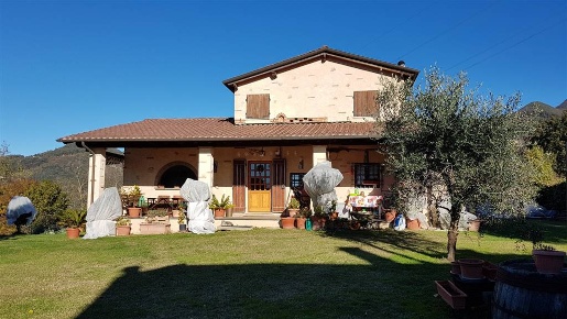 Foto Rustico a Camaiore Camaiore Paese di 200 m² con 11 locali in vendita