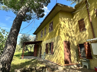 Foto Rustico a Grosseto Rispescia di 165 m² con 9 locali in vendita