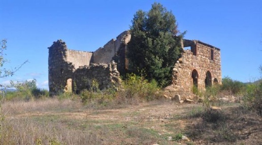 Foto Rustico in Faltona alta, Bibbona di 350 m² con 12 locali in vendita