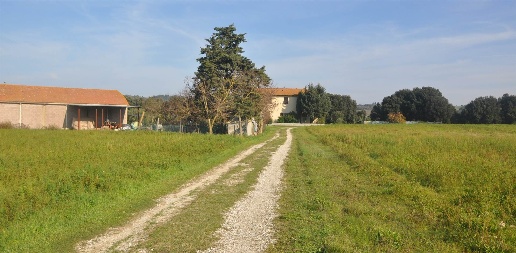 Foto Rustico a Pomarance di 570 m² con 11 locali in vendita