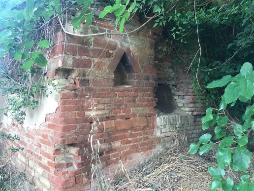 immagine annuncio 4 di 9