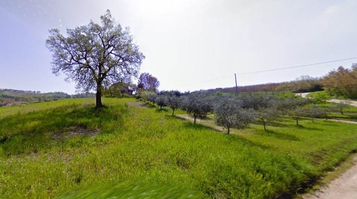 Foto Rustico a Tolentino di 190 m² con 8 locali in vendita