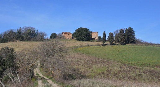 Foto Rustico in Strada Provinciale del Pian del Pruno, Chianni di 1000 m²