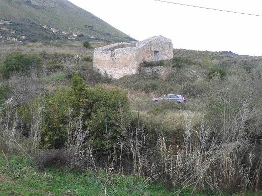 immagine annuncio 3 di 7