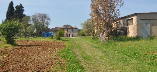 Foto Rustico in Stradone del Tripesce, Cecina Vada di 1020 m² con 12 locali
