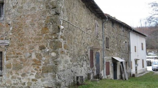 immagine annuncio 1 di 6