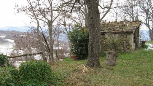 immagine annuncio 2 di 6