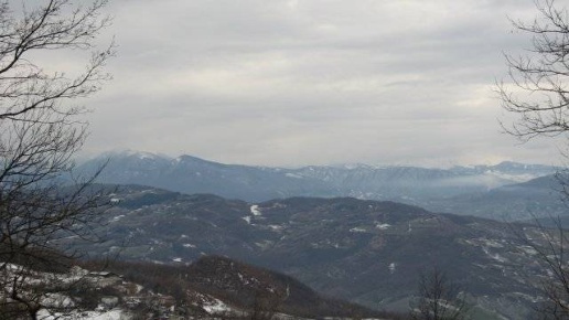 immagine annuncio 3 di 6