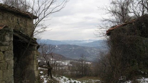immagine annuncio 5 di 6