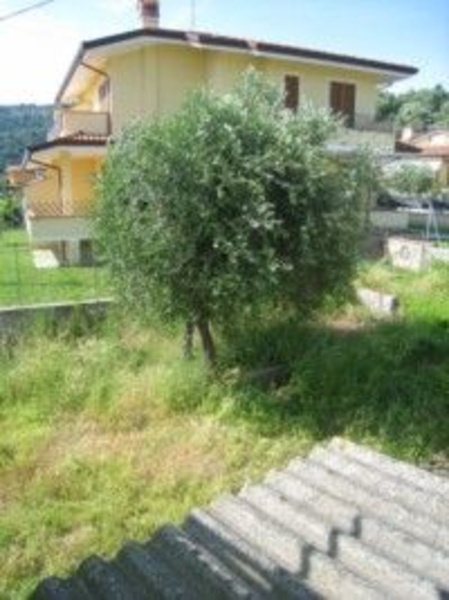 immagine annuncio 4 di 13
