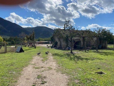 Foto Rustico a Sessa Aurunca Piedimonte di 200 m² con 1 locali in vendita