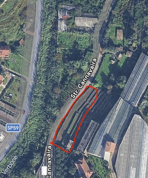 immagine annuncio 10 di 11