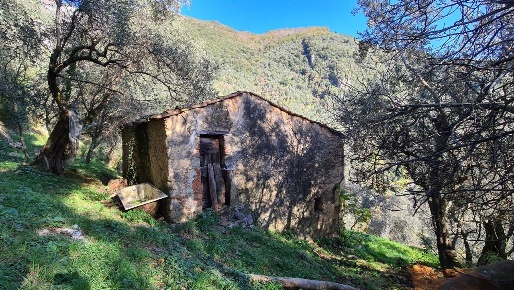 Foto Rustico a Camaiore Camaiore Paese di 80 m² con 2 locali in vendita