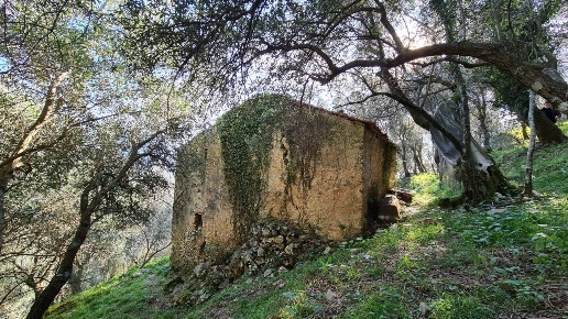 immagine annuncio 2 di 10