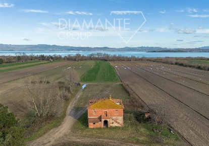 Foto Rustico a Castiglione del Lago Panicarola di 394 m² con 5 locali
