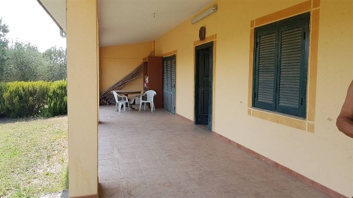 immagine annuncio 3 di 8
